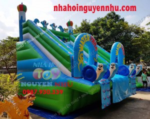 nha hoi nha phao truot nuoc N-195c